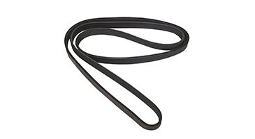 Serpentine Belt
