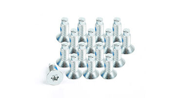 Windshield Hinge Screw